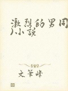 激烈的男同(h)小说