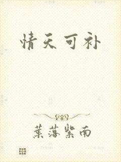 情天可补