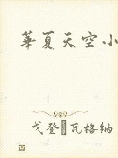 华夏天空小说网
