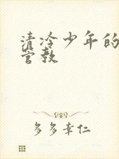 清冷少年的严厉管教