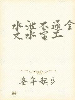 水泄不通金银原文水电工