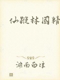 仙踪林国精产品