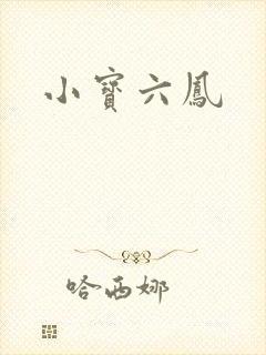 小宝六凤