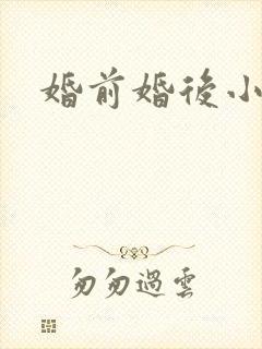 婚前婚后小说