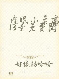 催眠小柔高达第13章免费阅读