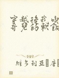 穿越后我吃到了哥儿的软饭炉山灰