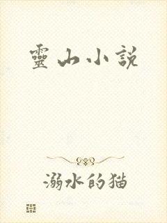 灵山小说
