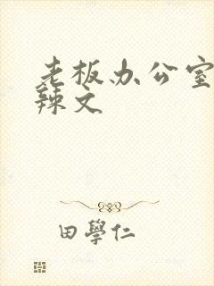 老板办公室系列辣文