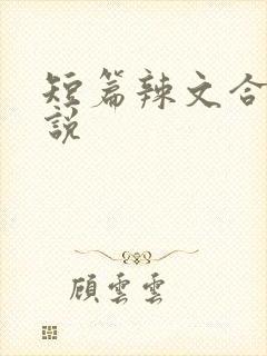 短篇辣文合集小说