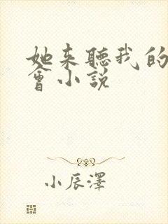 她来听我的演唱会小说