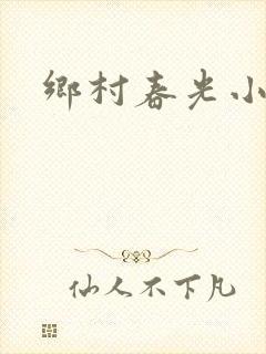 乡村春光小说