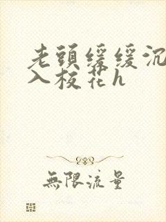 老头缓缓沉腰进入校花h