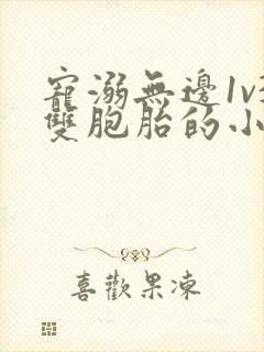 宠溺无边1v3双胞胎的小说