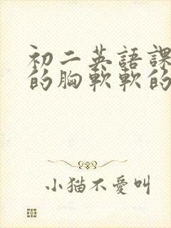 初二英语课代表的胸软软的