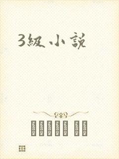 3级小说
