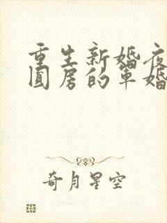 重生新婚夜正在圆房的军婚