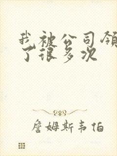 我被公司领导C了很多次