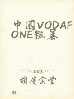 中国VODAFONE粗暴