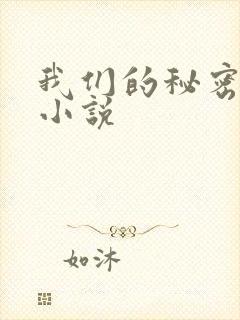 我们的秘密泰剧小说