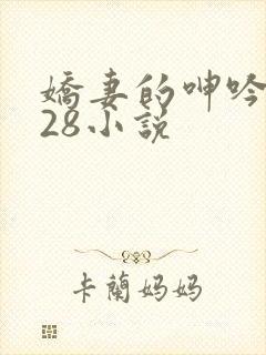 娇妻的呻吟1—28小说