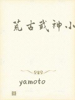 荒古武神小说