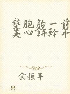 双胞胎一前一后夹心饼干年下