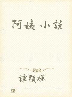 阿姨 小说