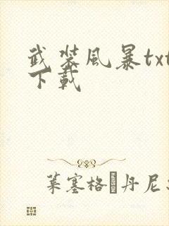 武装风暴txt下载