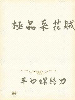 极品采花贼