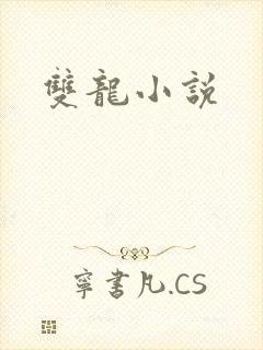双龙小说