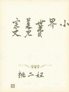 完美世界小说全文免费