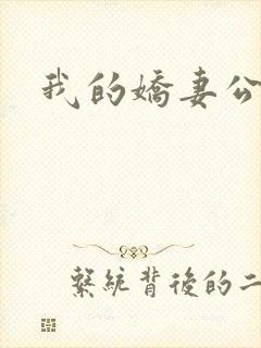 我的娇妻公务员