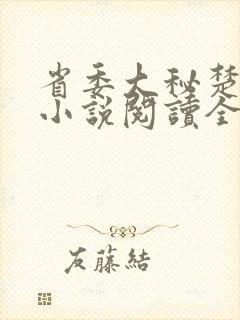 省委大秘楚东恒小说阅读全文