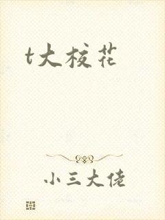 t大校花
