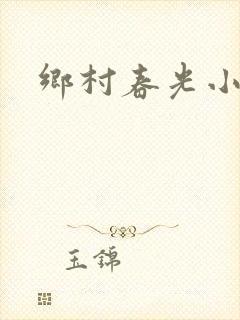乡村春光小说