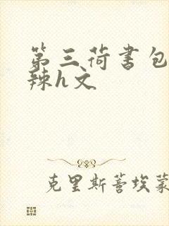 第三荷书包网高辣h文