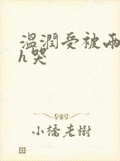 温润受被两个攻h哭