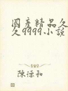 国产精品久久久久9999小说