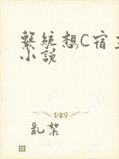 系统想C宿主的小说