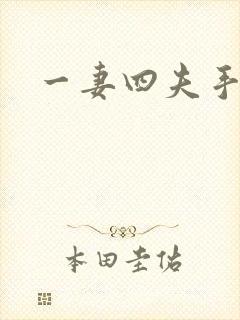 一妻四夫手记