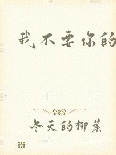 我不要你的承诺