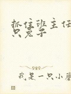 抓住班主任的两只兔子