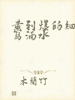 黄到爆的细节描写滴水