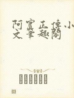 阿宾正传小说全文笔趣阁