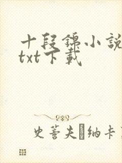 十段锦小说全本txt下载