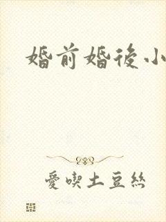 婚前婚后小说