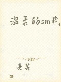 温柔的sm我