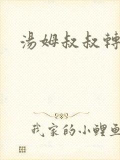 汤姆叔叔转接口