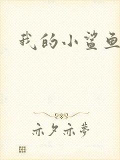 我的小鲨鱼