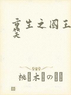 重生之国王的微笑